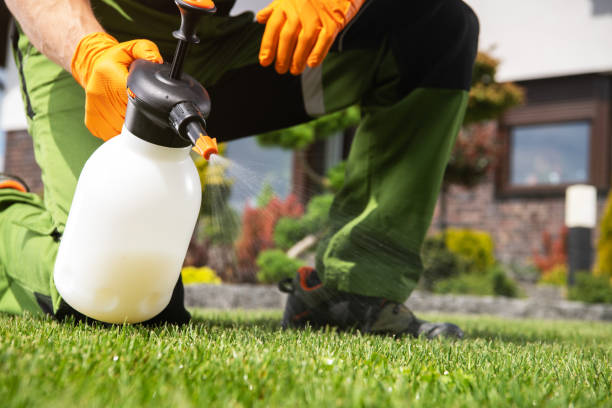 Best Local Pest Control Services  in Mexico, IN
