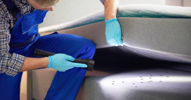 Best Wasp Removal Services  in Mexico, IN